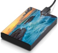 meSleep HD30182 Hard Disk Skin(Multicolor)   Laptop Accessories  (meSleep)
