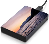 meSleep HD31051 Hard Disk Skin(Multicolor)   Laptop Accessories  (meSleep)