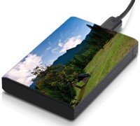 meSleep HD34335 Hard Disk Skin(Multicolor)   Laptop Accessories  (meSleep)