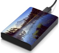 meSleep HD29218 Hard Disk Skin(Multicolor)   Laptop Accessories  (meSleep)