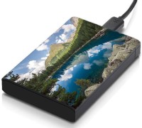 meSleep HD32027 Hard Disk Skin(Multicolor)   Laptop Accessories  (meSleep)