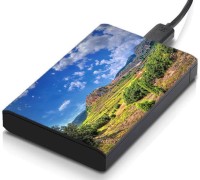 meSleep HD45032 Hard Disk Skin(Multicolor)   Laptop Accessories  (meSleep)