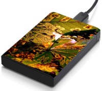 meSleep HD32259 Hard Disk Skin(Multicolor)   Laptop Accessories  (meSleep)