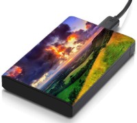meSleep HD41183 Hard Disk Skin(Multicolor)   Laptop Accessories  (meSleep)