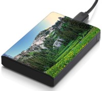 meSleep HD45053 Hard Disk Skin(Multicolor)   Laptop Accessories  (meSleep)