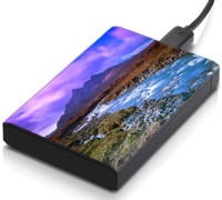 meSleep HD34165 Hard Disk Skin(Multicolor)   Laptop Accessories  (meSleep)