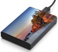 meSleep HD39353 Hard Disk Skin(Multicolor)   Laptop Accessories  (meSleep)