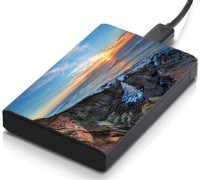 meSleep HD46167 Hard Disk Skin(Multicolor)   Laptop Accessories  (meSleep)