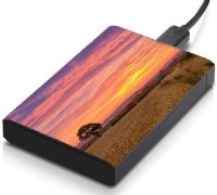 meSleep HD36265 Hard Disk Skin(Multicolor)   Laptop Accessories  (meSleep)