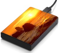 meSleep HD43160 Hard Disk Skin(Multicolor)   Laptop Accessories  (meSleep)