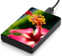 meSleep HD35073 Hard Disk Skin(Multicolor)   Laptop Accessories  (meSleep)