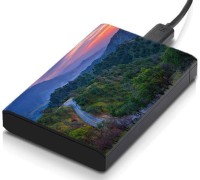 meSleep HD31055 Hard Disk Skin(Multicolor)   Laptop Accessories  (meSleep)