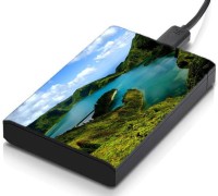 View meSleep HD34238 Hard Disk Skin(Multicolor) Laptop Accessories Price Online(meSleep)