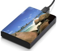 meSleep HD47153 Hard Disk Skin(Multicolor)   Laptop Accessories  (meSleep)