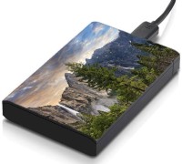 meSleep HD31326 Hard Disk Skin(Multicolor)   Laptop Accessories  (meSleep)