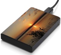 meSleep HD45325 Hard Disk Skin(Multicolor)   Laptop Accessories  (meSleep)