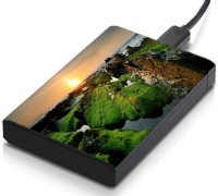 meSleep HD46135 Hard Disk Skin(Multicolor)   Laptop Accessories  (meSleep)