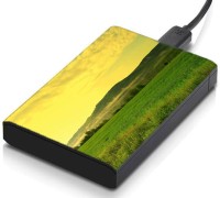 meSleep HD29018 Hard Disk Skin(Multicolor)   Laptop Accessories  (meSleep)