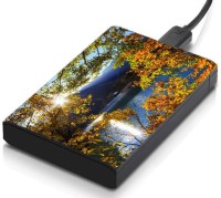 meSleep HD30290 Hard Disk Skin(Multicolor)   Laptop Accessories  (meSleep)