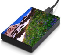 meSleep HD31086 Hard Disk Skin(Multicolor)   Laptop Accessories  (meSleep)