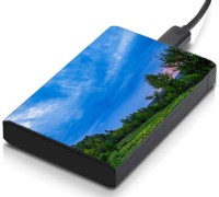 meSleep HD32126 Hard Disk Skin(Multicolor)   Laptop Accessories  (meSleep)