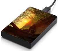 meSleep HD46136 Hard Disk Skin(Multicolor)   Laptop Accessories  (meSleep)