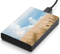 meSleep HD30383 Hard Disk Skin(Multicolor)   Laptop Accessories  (meSleep)