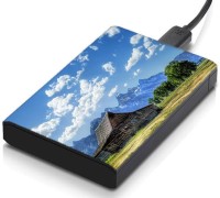 meSleep HD41047 Hard Disk Skin(Multicolor)   Laptop Accessories  (meSleep)