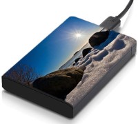 meSleep HD33217 Hard Disk Skin(Multicolor)   Laptop Accessories  (meSleep)