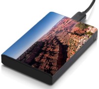 meSleep HD31165 Hard Disk Skin(Multicolor)   Laptop Accessories  (meSleep)