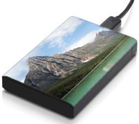 meSleep HD30211 Hard Disk Skin(Multicolor)   Laptop Accessories  (meSleep)