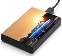 meSleep HD24094 Hard Disk Skin(Multicolor)   Laptop Accessories  (meSleep)