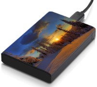 meSleep HD41310 Hard Disk Skin(Multicolor)   Laptop Accessories  (meSleep)