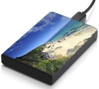 meSleep HD39332 Hard Disk Skin(Multicolor)   Laptop Accessories  (meSleep)