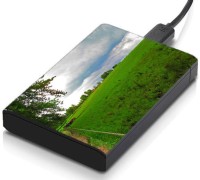 meSleep HD36157 Hard Disk Skin(Multicolor)   Laptop Accessories  (meSleep)