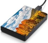 meSleep HD30273 Hard Disk Skin(Multicolor)   Laptop Accessories  (meSleep)