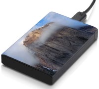 meSleep HD38269 Hard Disk Skin(Multicolor)   Laptop Accessories  (meSleep)