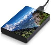 View meSleep HD37012 Hard Disk Skin(Multicolor) Laptop Accessories Price Online(meSleep)