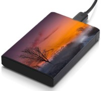 meSleep HD31095 Hard Disk Skin(Multicolor)   Laptop Accessories  (meSleep)