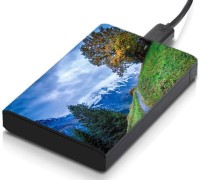 meSleep HD45097 Hard Disk Skin(Multicolor)   Laptop Accessories  (meSleep)