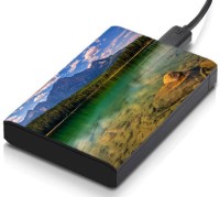 meSleep HD30202 Hard Disk Skin(Multicolor)   Laptop Accessories  (meSleep)