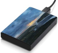 meSleep HD28131 Hard Disk Skin(Multicolor)   Laptop Accessories  (meSleep)