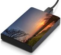 meSleep HD38032 Hard Disk Skin(Multicolor)   Laptop Accessories  (meSleep)