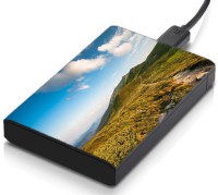 meSleep HD43078 Hard Disk Skin(Multicolor)   Laptop Accessories  (meSleep)