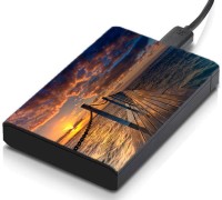 meSleep HD37009 Hard Disk Skin(Multicolor)   Laptop Accessories  (meSleep)