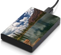 meSleep HD30368 Hard Disk Skin(Multicolor)   Laptop Accessories  (meSleep)