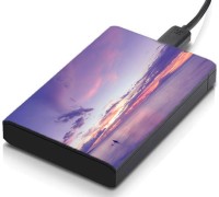 meSleep HD37051 Hard Disk Skin(Multicolor)   Laptop Accessories  (meSleep)