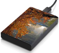 meSleep HD31068 Hard Disk Skin(Multicolor)   Laptop Accessories  (meSleep)