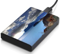 View meSleep HD34100 Hard Disk Skin(Multicolor) Laptop Accessories Price Online(meSleep)