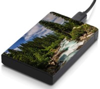 meSleep HD33066 Hard Disk Skin(Multicolor)   Laptop Accessories  (meSleep)